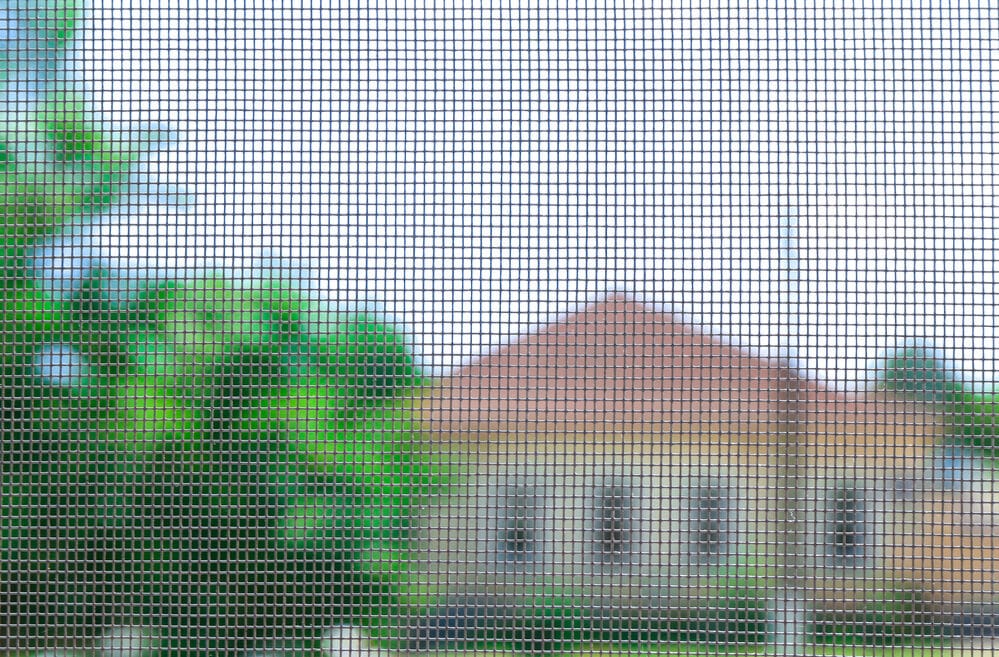 View through a durable window screen material chosen for a screen room