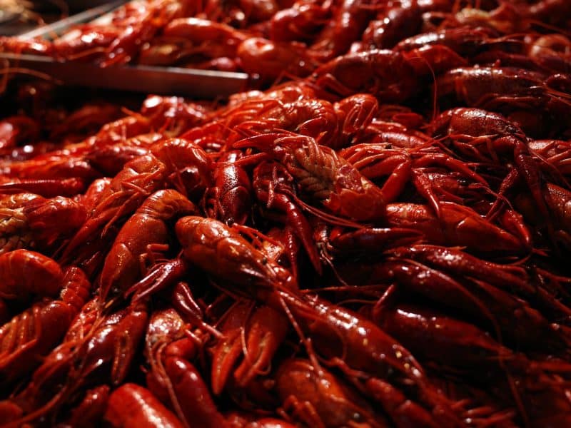 Building a Covington Pavilion for Crawfish Boils: Burners and Drainage