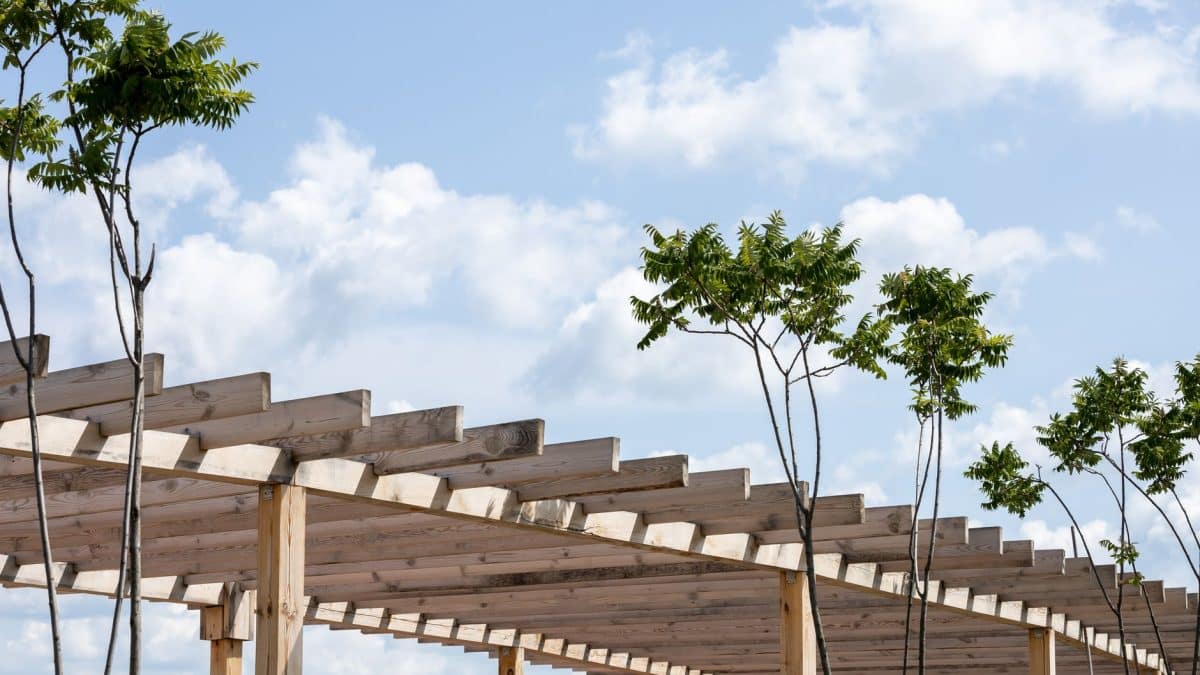 Fitting a Pergola on a Small Old Jefferson Lot: Setbacks and Drainage