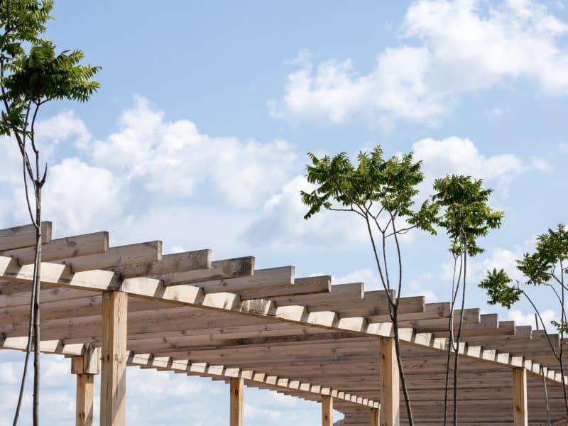 Fitting a Pergola on a Small Old Jefferson Lot: Setbacks and Drainage